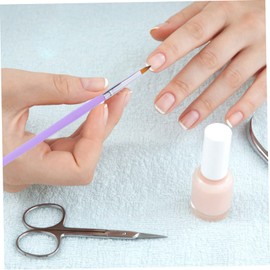 Ipetboom Nylon Hair Nail Art Brush Set Nail Art Design Tool for Home Professional Use