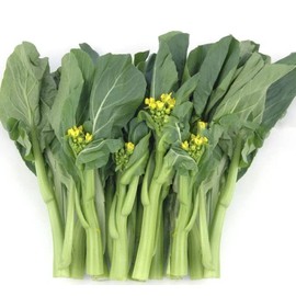 3500+ Premium Yu Choy Sum Seeds for Planting – Fast Growing, Low Maintainance, Heat and Cold Tolerant – High-Yielding Non-GMO Heirloom Seeds