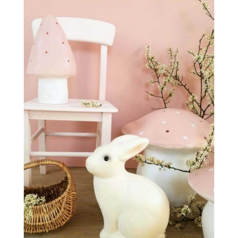 EGMONT TOYS - Lampe veilleuse Canard