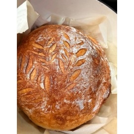 GREAT GRANDMA'S FREE RECIPES Sourdough Starter Heritage San Francisco - Live 200yrs Old !