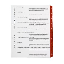 Subject Ring Binder with Tabs/Dividers - Taxes - Optimal Structure for Filing Tax Documents