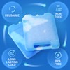 Large Reusable Ice Packs for Cooler with Handle (2 Pack)