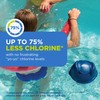 FROG @Ease Replacement SmartChlor Cartridge for use with Swim Spa