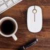 Wireless Mouse, Vssoplor 2.4G Slim Portable Computer Mice with Nano