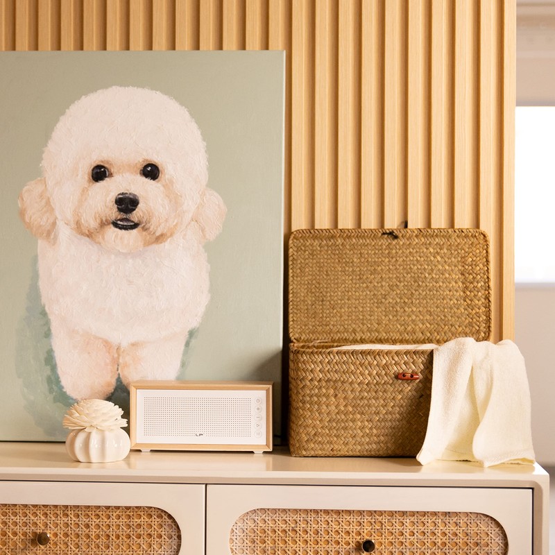 4 Pack, Wicker Baskets with Lids, Nautral Seagrass Storage Baskets,