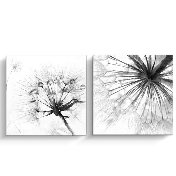 Pinetree Art 2 Panel Black And White Canvas Wall Art