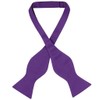 Vesuvio Napoli SELF TIE Bow Tie Solid PURPLE INDIGO Color