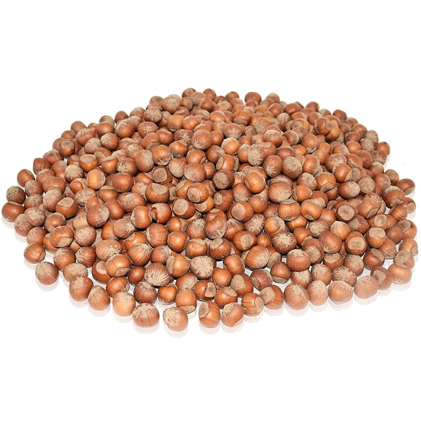 Anna and Sarah Large Oregon Hazelnuts in Shell (2.5 Lbs)