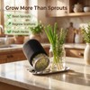 Criamolo 2 Pack Mason Jar Sprouting Kit with Stainless Steel