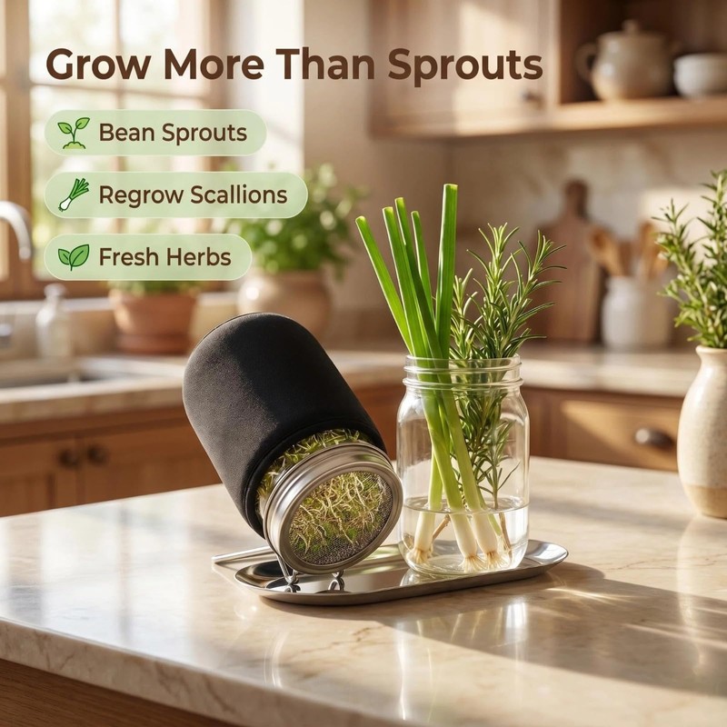 Criamolo 2 Pack Mason Jar Sprouting Kit with Stainless Steel