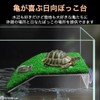 RYOHIN Lab. Floating Island, Turtle, Reptile, Aquarium Stand, Turtle, Aquarium,