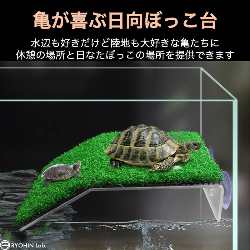 RYOHIN Lab. Floating Island, Turtle, Reptile, Aquarium Stand, Turtle, Aquarium,