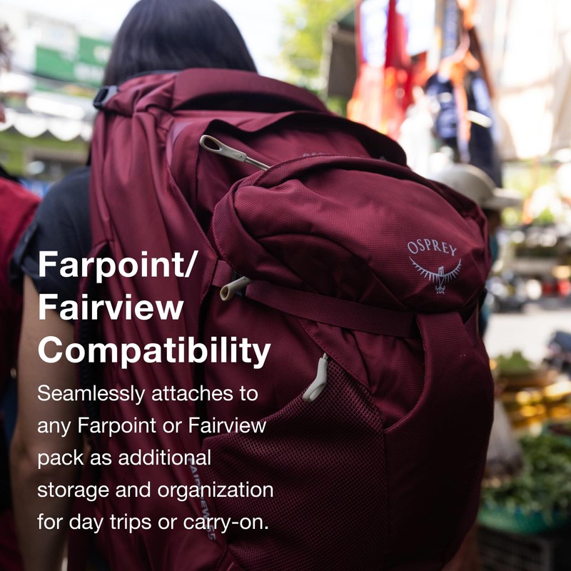 Osprey Farpoint Fairview Travel Daypack for Men and Women, Zircon