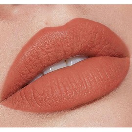 CoteMara Matte Lipstick for women Long-Lasting Water-proof Retractable Lip Liner Pencils Matte Lip-Crayon, 1 pcs (Peach Pink)