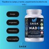 Nad Advanced Complex 100 Cápsulas Nicotinamida Ribósido Resveratrol Pqq Magnesio