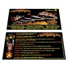 Williams Hurricane Pinball Custom Apron Instruction Cards