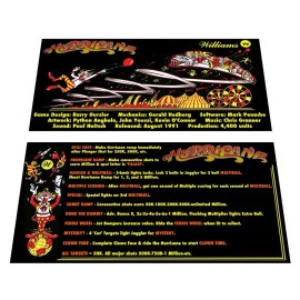Williams Hurricane Pinball Custom Apron Instruction Cards