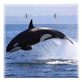 Graphics Wallplates - Orca Jumping out of Water - Two Gang Blank Wall Plate Cover