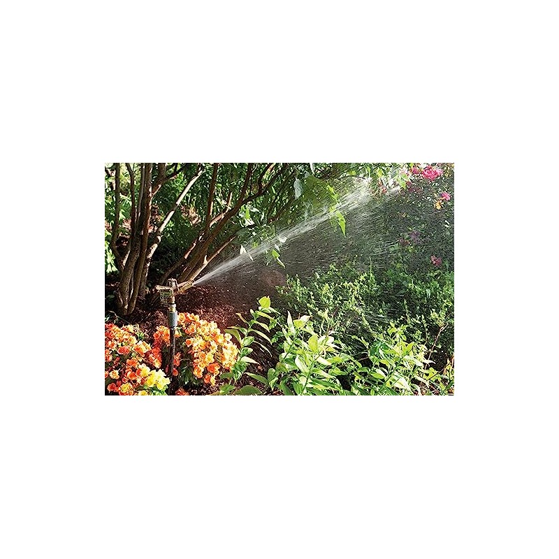 Rain Bird 35ADJTNTB Brass Impact Sprinkler, Adjustable 0° - 360°
