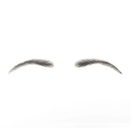 Human Hair Lace Fake Eyebrows, 100% Handmade Real Hair Lace Front False Eyebrow One Pair, Natural Black Eyebrow Extensions for Women Daily Use, Makeup, And Stage(Black)