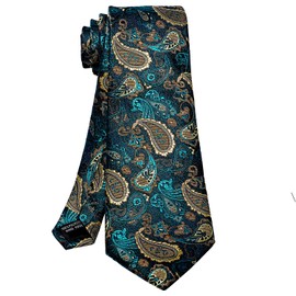ROBERTO GABBANI Mens Dark Green Tie and Pocket Square Set, Silk Paisley Tie Handkerchief Cufflinks and Clip Set for Men
