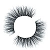 3D Lashes (Desire)