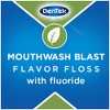 DenTek Earth Friendly Floss Picks, Organic Plant-Based bio-Plastic Handles, Mint,