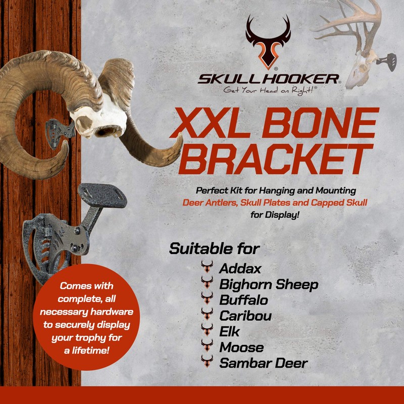 Skull Hooker Powder-Coated Steel XXL Bone Bracket – Designed to