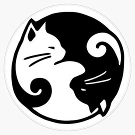 Leyland Designs Black and White Cat Ying and Yang Sticker Outdoor Rated Vinyl Sticker Decal for Windows, Bumpers, Laptops or Crafts 5"