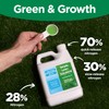 Maximum Green & Growth- High Nitrogen 28-0-0 NPK- Lawn Food