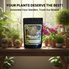 Rootwise Bio-Phos (4 oz) | Natural Phosphorus Fertilizer and Soil