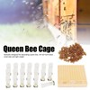 Queen Bee Rearing Box Cage Plastic Breeding Cell Cup Kit
