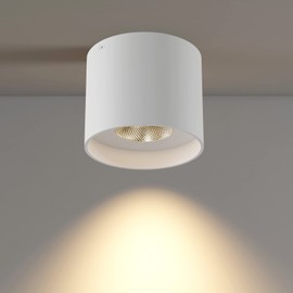 ilucezzo Ceiling Light Fixture, Flush Mount Ceiling Lights LED Dimmable Cylinder Ceiling Light Spot Light for Living Room Hallway Kitchen Dining Room Foyer 3000K 14.5W (White)