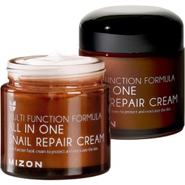 Mizon All in One Snail Repair Cream 75ml – Crema Facial Reparadora con Extracto de Caracol, Hidratante y Antiedad para Todo Tipo de Piel