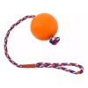 J.H COMPANY Juguete Pelota Con Cuerda Para Perro Chica Resistente