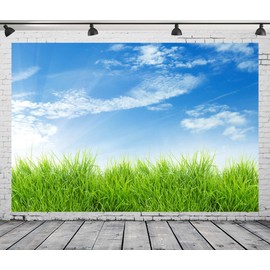 Loccor Fabric 7x5ft Blue Sky Backdrop Spring Nature Grass Blue Sky Photography Background Outdoor Nature Scenery Easter Decoration Kid Baby Adult Boy Girl Artistic Portrait Photo Studio Props