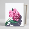 DIY Canvas Painting 40x50cm Shadow Peony / DIY캔버스형 그림그리기 40x50cm 그림자 모란꽃