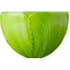 Hutzler Green 56 Ounce Salad Storage Container Keeps Lettuce Fresh