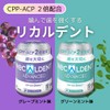 Dental Clinic Dedicated Ricardent Advanced Grape Mint Flavor, 4.9 oz