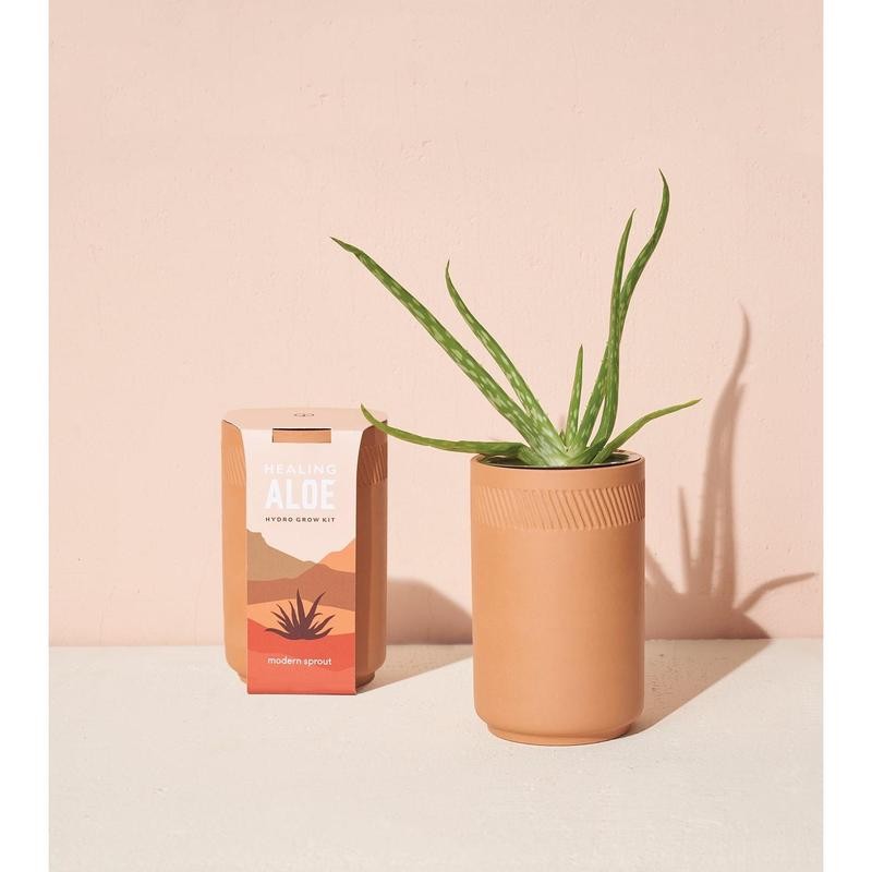 Modern Sprout Terracotta Grow Kits - Plant Type: Coastal Palm