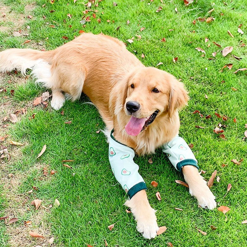 Dog Elbow Wounds Brace Thickened Soft Breathable Avocado Pattern Prevent