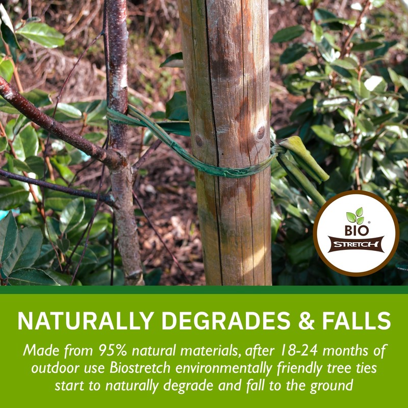 Biostretch Extra Wide Soft Tree Ties - Strong & Stretchy