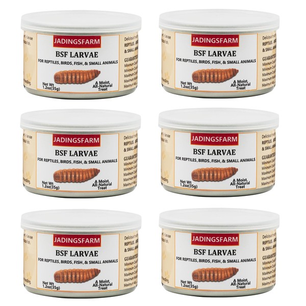 JADINGSFARM 6 Pack Canned Black Soldier Fly Larvae for Reptiles,