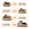 Dog Beds for Small Dogs, Washable Orthopedic Dog Bed with