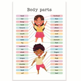 Body Parts Classroom Poster - Learning the Body - Early Learning Resources - Anatomy - Elementary School - 12 x 18 Inch - Classroom Decor - Classroom Must Haves - Back To School Decor - CPS0244