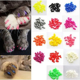JOYJULY 100pcs Cat Nail Caps Kitten Caps Cat Caps Cat Nail Covers with 5pcs Adhesive Glue+5pcs Applicators+Instruction