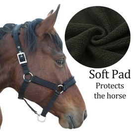 Adjustable Horse Halter with Polar Fleece Lined, Breakaway Halter with Stain Hardware, Equestrian Horse Riding Halters (Black, X-Large)