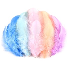 Macaroon Craft Rooster Feathers 900pcs 3-5inch Colored Bulk Feathers Natural Feathers for Crafting Kindergarten DIY Crafts,Home Wedding Party Decoration,Dream Catcher Supplies