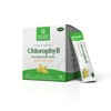 Nature's Sunshine Nature's Sunshine Chlorophyll Stick Packs: Supercharge Your Detox