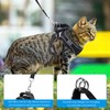 AMIR Cat Harness and Leash for Walking, Breathable Cat Leash